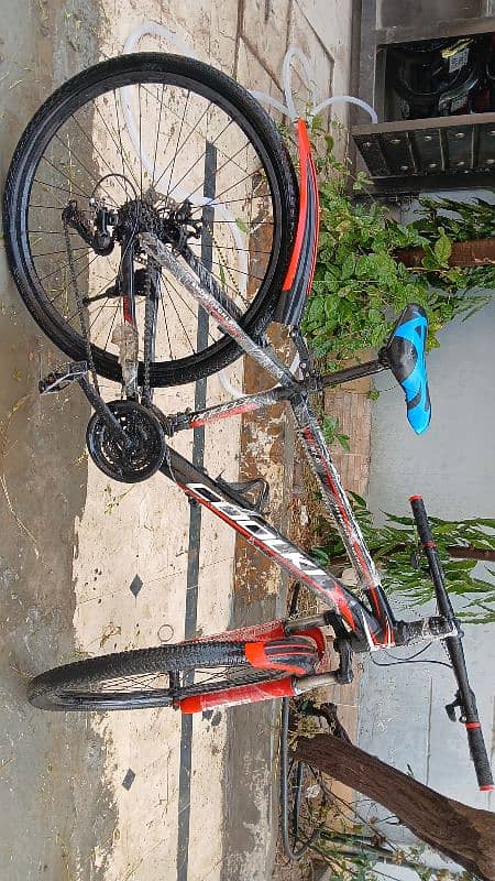 Speed Cycle Up For Sale 2