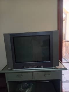 Television