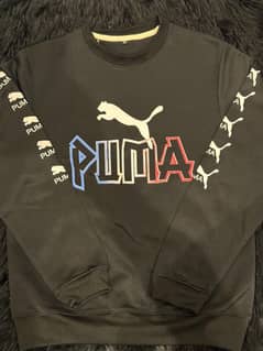 Puma