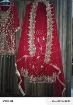 Bridal lehnga