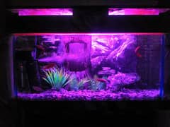 NEW 3D AQUARIUM FULL SETUP FOR SALE.