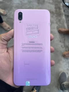 vivo