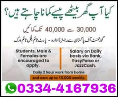 part time; full time online work daily earning