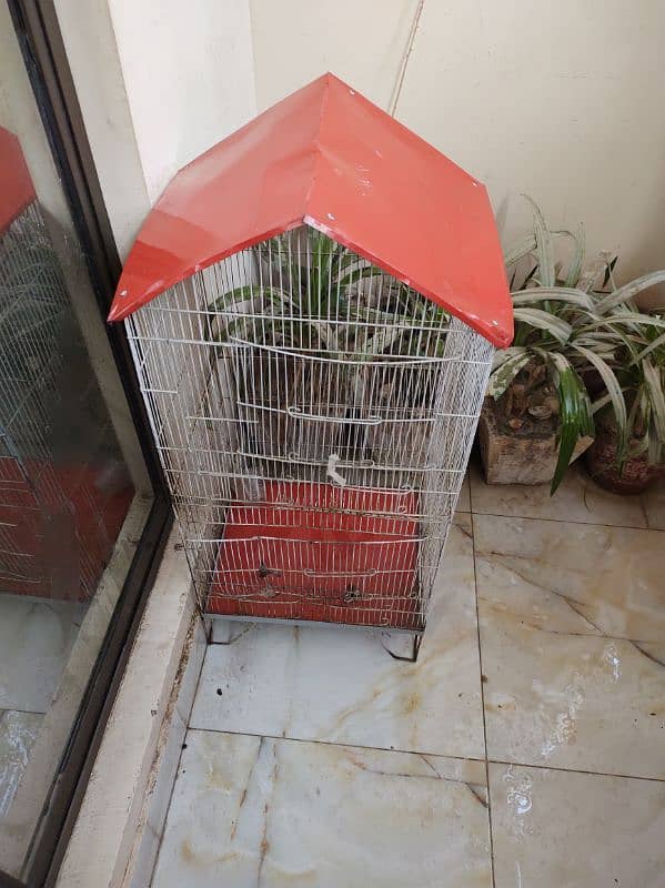 cat or bird cage for sale 1