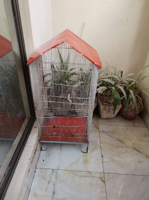 cat or bird cage for sale 2