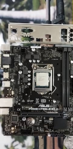 Core i3 8100+ asus prime h310