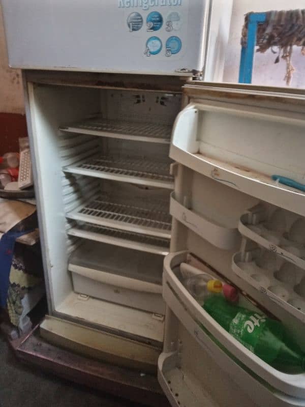 pel fridge 1