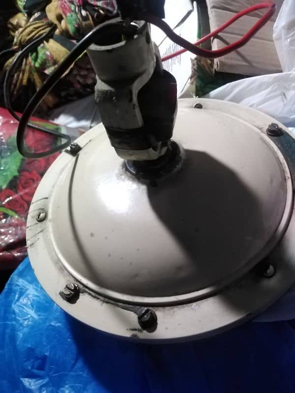 ceiling fan for sell 1