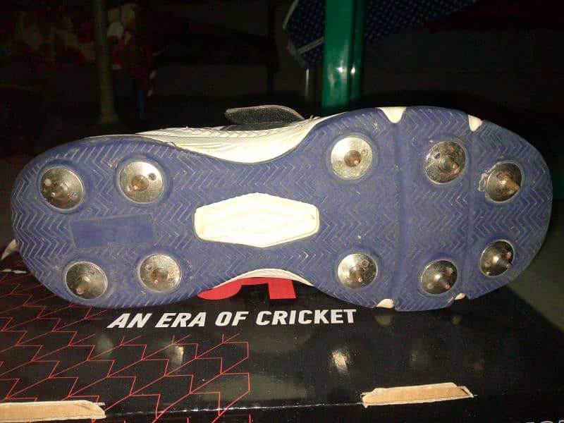 Original CA Spikes+ Grippers 5