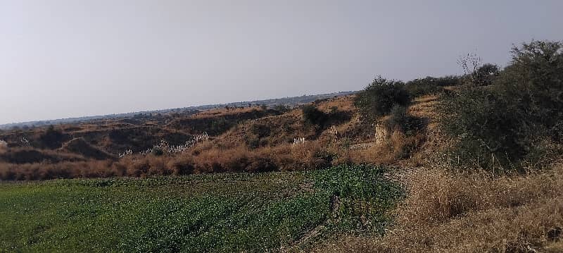 400 Kanal Agricultural Land For Sale In Balksar 6