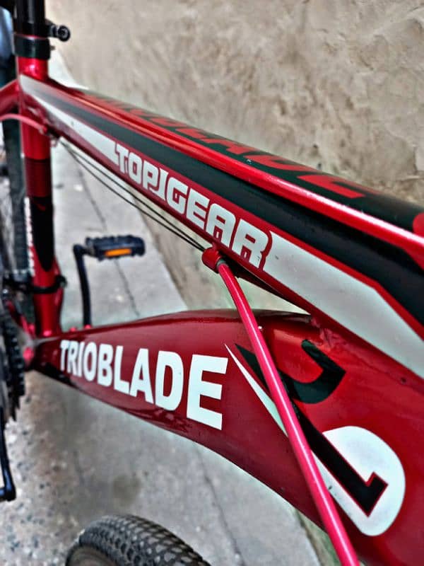 Trioblade imported Mountain bike 2