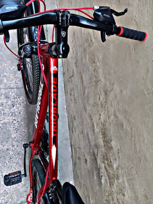 Trioblade imported Mountain bike 12