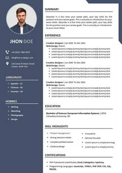 Professional CV service