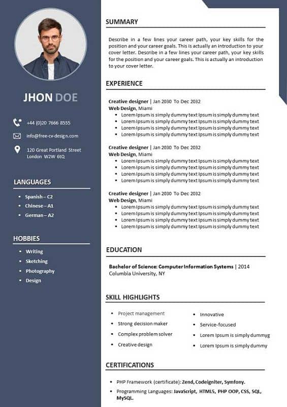 Professional CV service 0