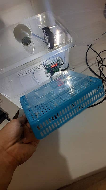 16-17 eggs incubator 100% result hatching machine 8