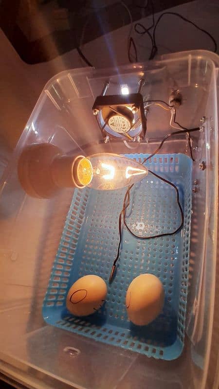 16-17 eggs incubator 100% result hatching machine 17