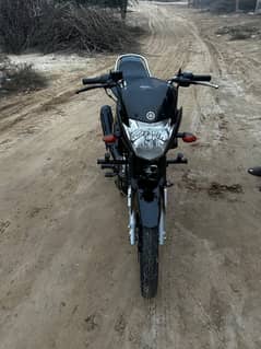 ybr125