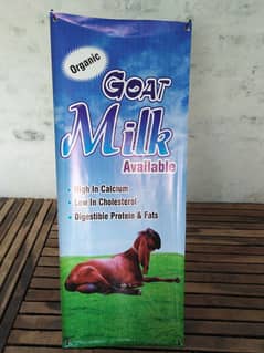 Goat Milk