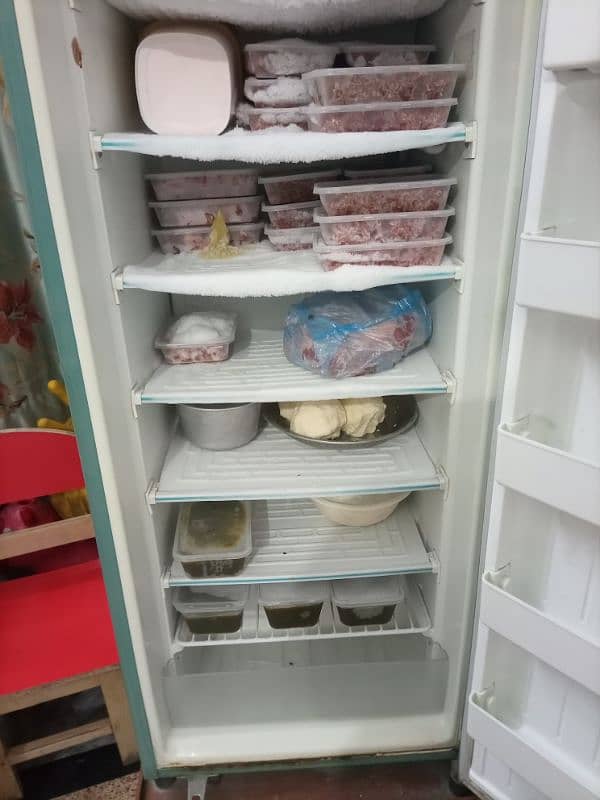 LG vertical freezer 1