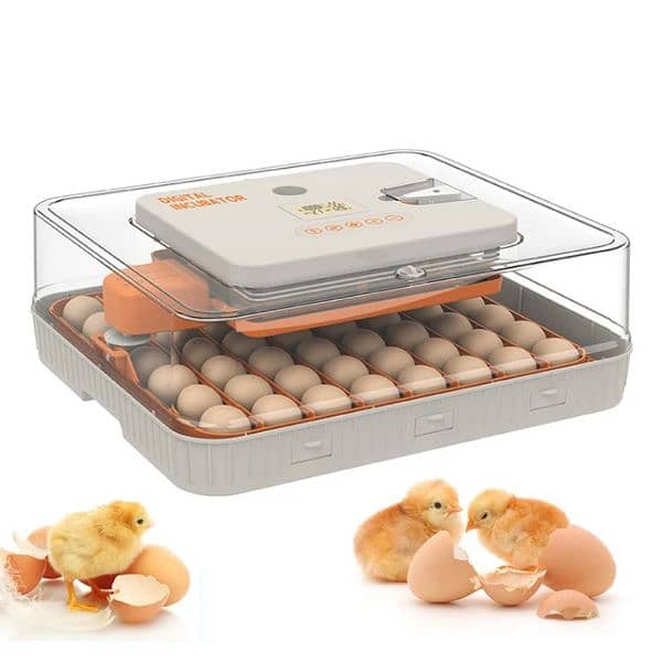 56 Egg Incubator fully automatic 0