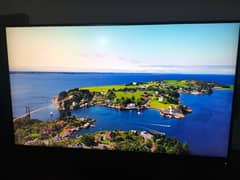 4k ThinkVision 31.5 inch Monitor - P32p-20