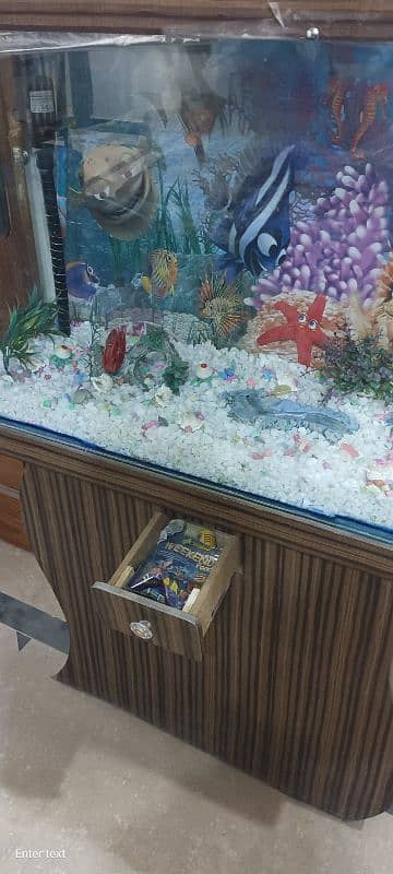 A big fish Aquarium 1