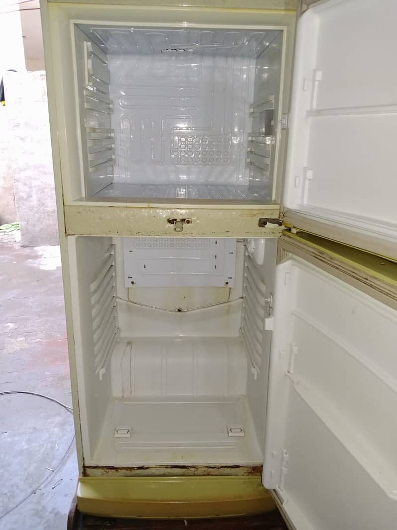 PELL Company Fridge 11