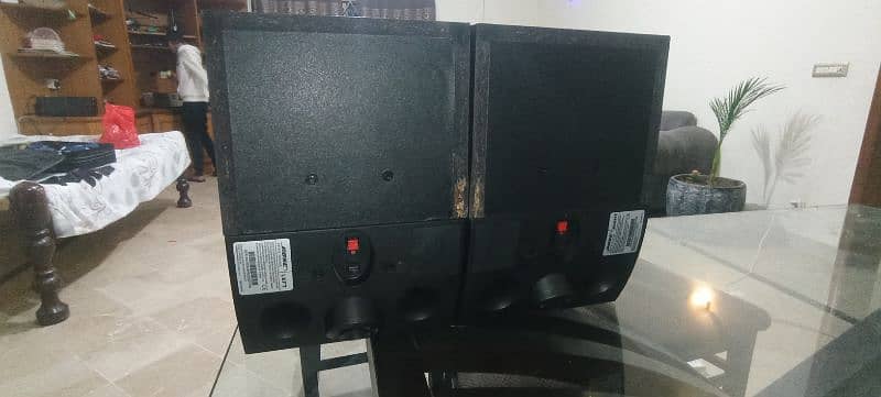 Bose 301-V Stereo Loud Speakers 4