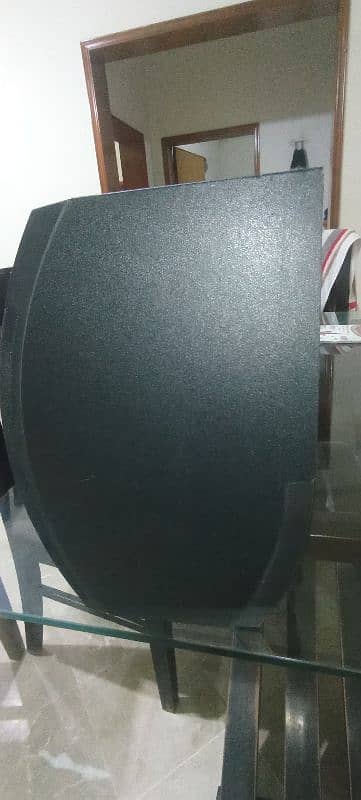 Bose 301-V Stereo Loud Speakers 10