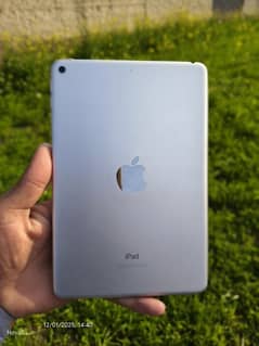 iPad mini 5