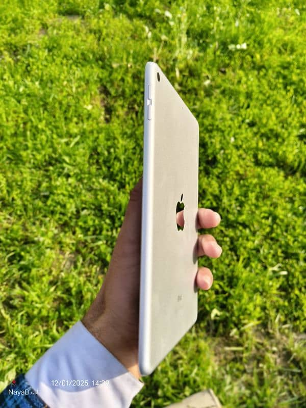 iPad mini 5 3