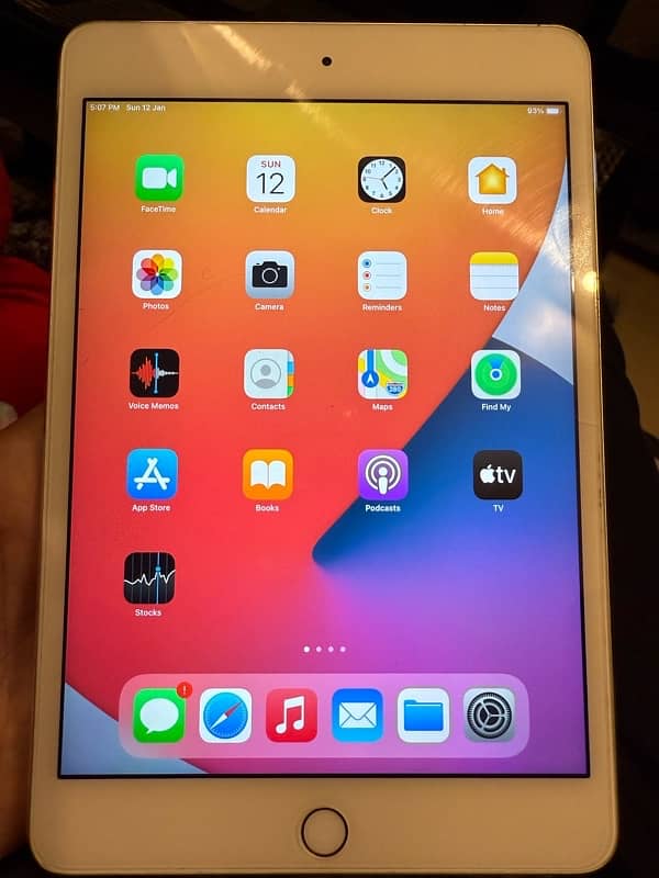 iPad mini 4 0