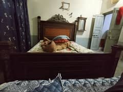 bed lagri ka tyr hai