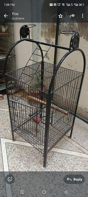 Parrot cage 0