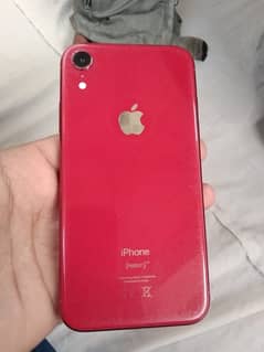 iPhone XR