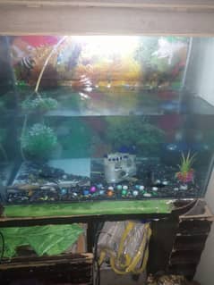 fish aquarium witj fish