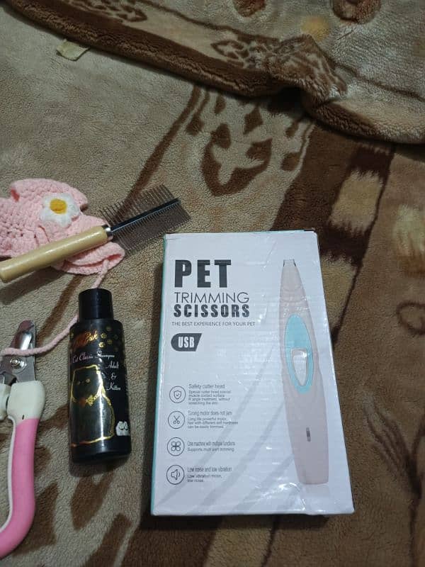 Persian kitten with grooming accessories 7