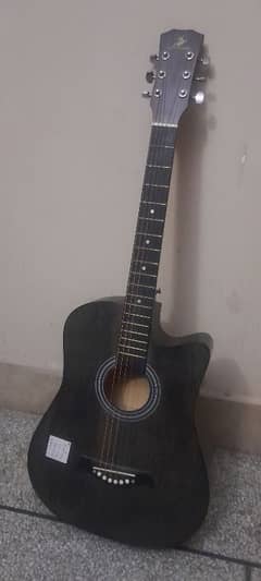 Acoustic Guitar