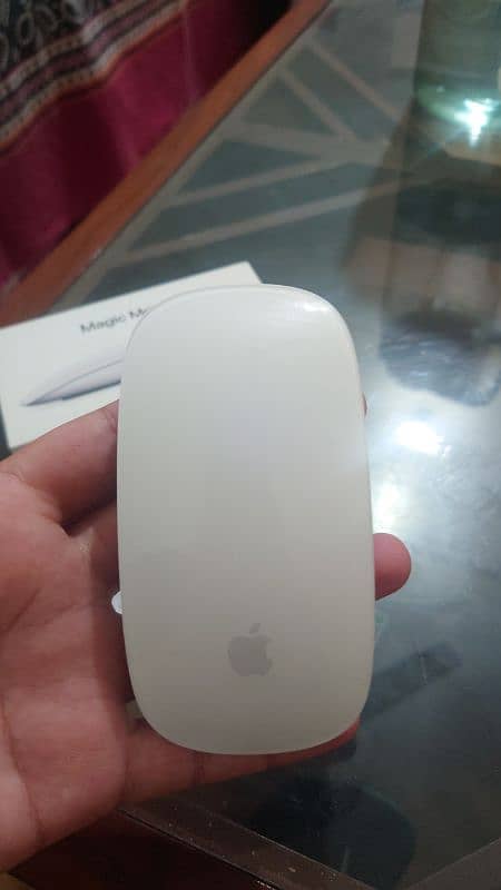 Magic Mouse (Silver) 1