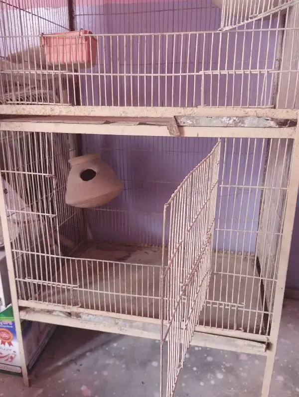 parrot cage. — photo 2