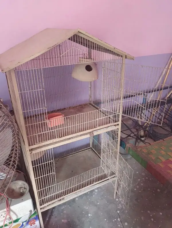 parrot cage. — photo 3
