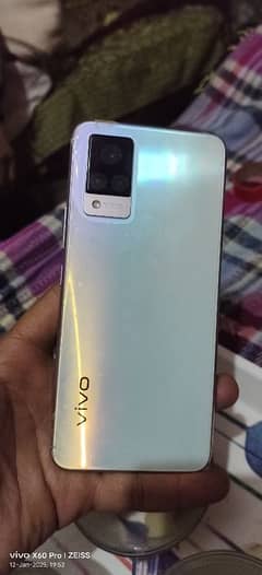 vivo