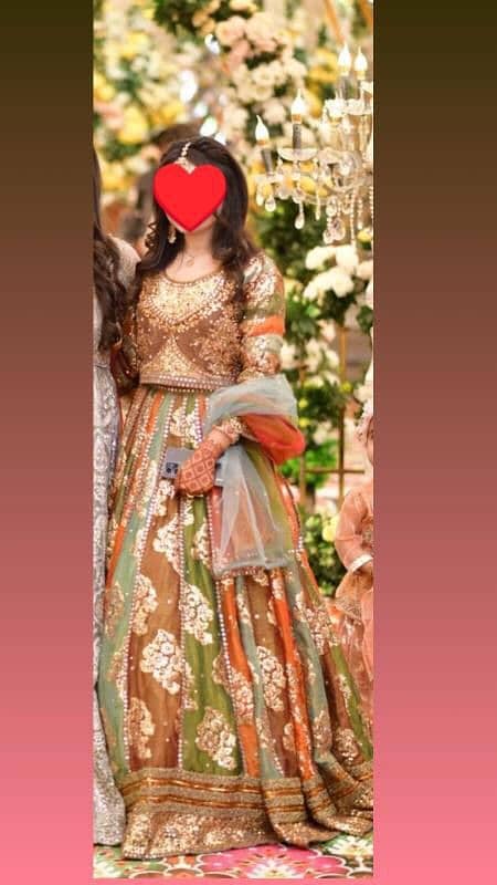 Nakoosh brand lehnga choli 3