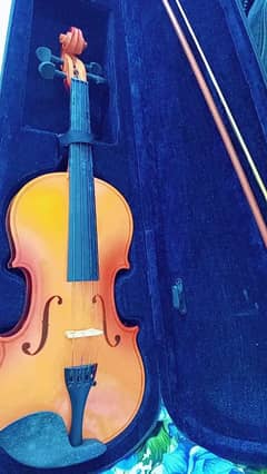 Violin  urgent sale