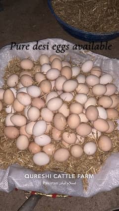 Pure desi organic eggs