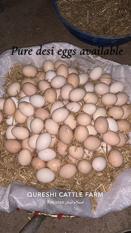 Pure desi organic eggs 0