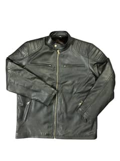 Export Quality Aniline Cow Leather Jacket with Cat Fur