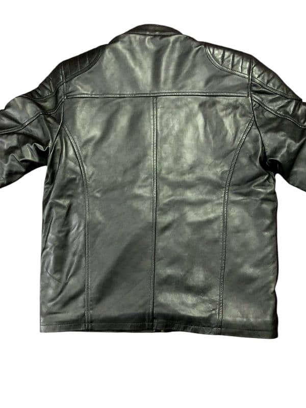 Export Quality Aniline Cow Leather Jacket with Cat Fur Inside 3