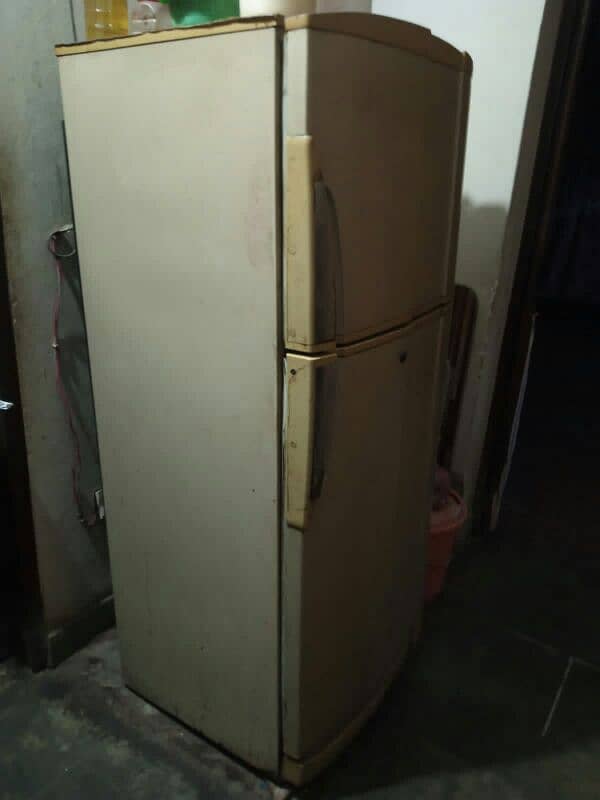 Pel medium size refrigerator 1