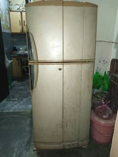 Pel medium size refrigerator